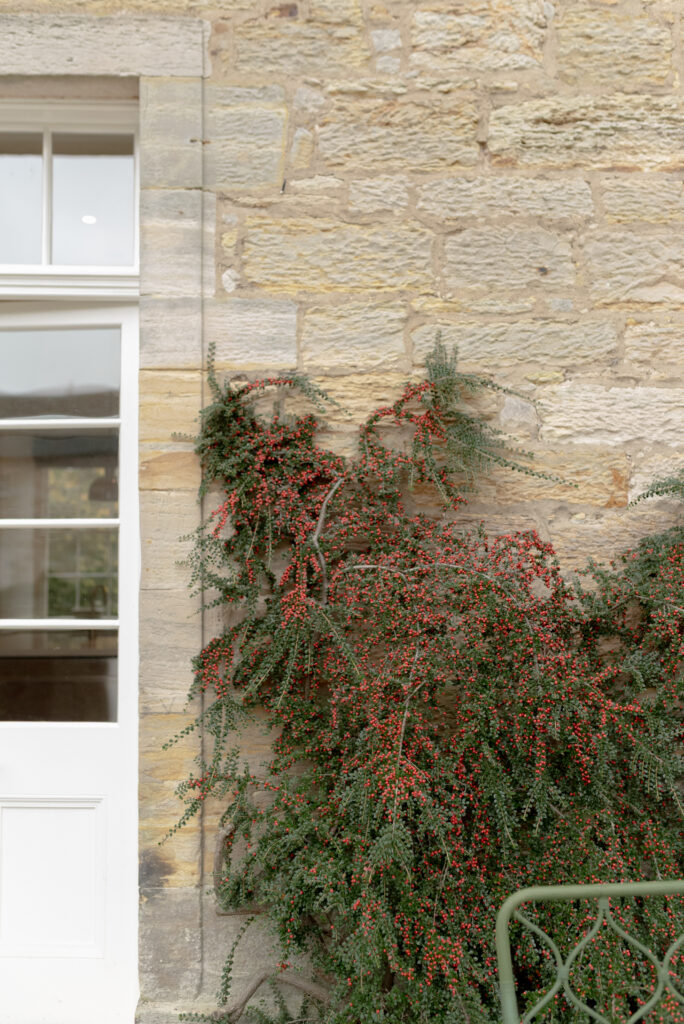 Autumnal foliage of Penicuik House, Penicuik Estate, Scotland — a private country estate wedding venue near Edinburgh. Image by acclaimed wedding photographer Scotland, Jill Cherry Porter, in connection with Scottish destination wedding planner, Emma Matthews founder of Timeless White Wedding Planning, and Jill Alexander, abundant wedding floral designer UK, The Little Flower Atelier.