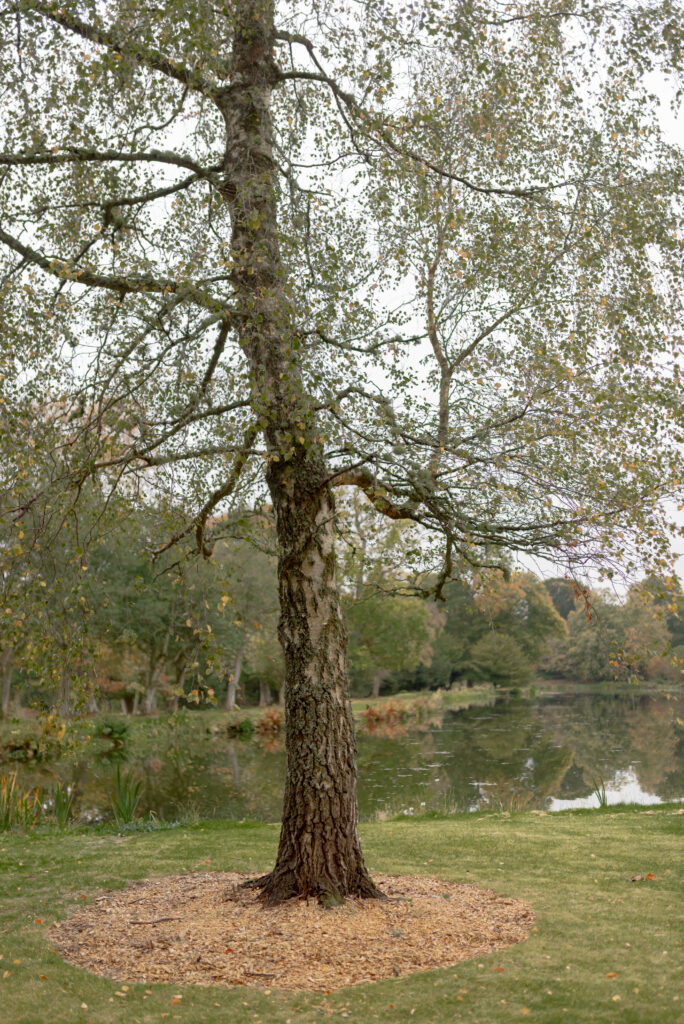 The High Pond Reserve, in the grounds of Penicuik House, Penicuik Estate — an exclusive use, country estate wedding venue, Scotland. Image by fine art wedding photographer Scotland, Jill Cherry Porter, in connection with one of the best wedding planners in Scotland, Emma Matthews, founder of Timeless White Wedding Planning, and Jill Alexander, abundant wedding florist UK, The Little Flower Atelier.