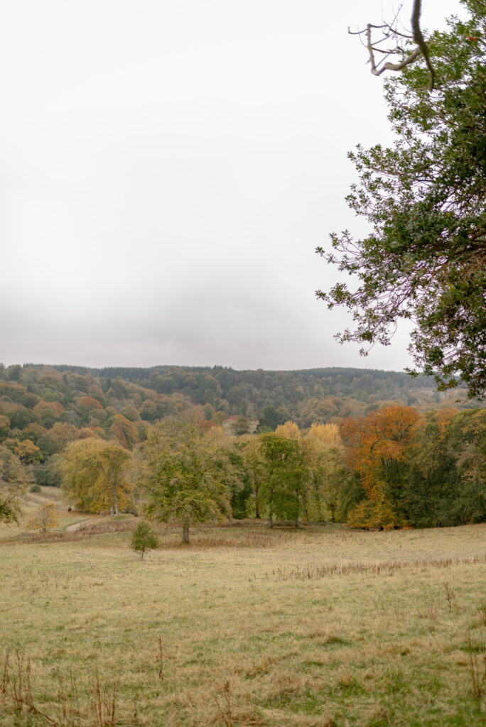 Views from the High Pond Reserve, Penicuik Estate in autumn — a private country estate wedding venue, Scotland. Image by luxury wedding photographer Scotland, Jill Cherry Porter, in connection with one of the best wedding planners in Scotland, Emma Matthews, founder of Timeless White Wedding Planning, and Jill Alexander, abundant wedding florist UK, The Little Flower Atelier.