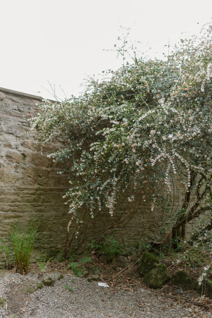 Birkhill Castle walled garden, private estate wedding venue, Scotland. Image by Scottish wedding photographer Jill Cherry Porter.